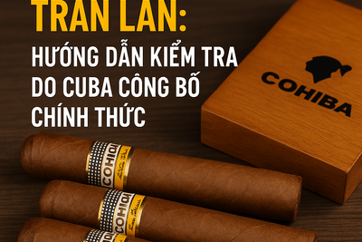 Xì Gà Cohiba Giả: Cách Nhận Biết Chuẩn Theo Habanos S.A | Hướng Dẫn 2025
